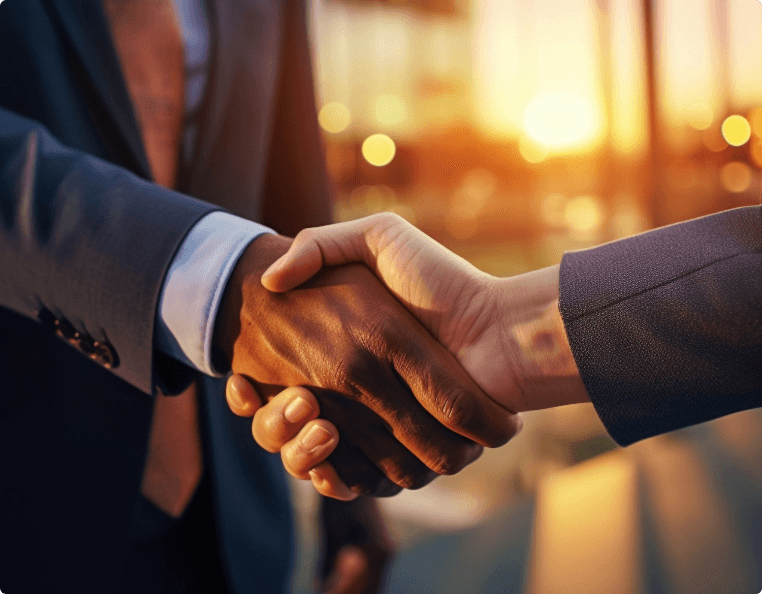 2010 — First government tender