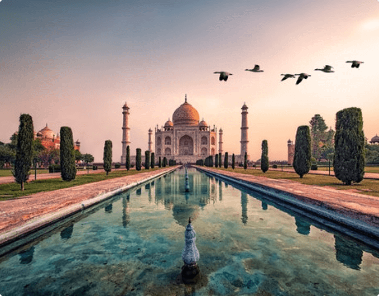 2019 — India office